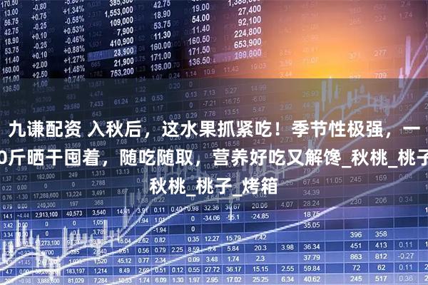 九谦配资 入秋后，这水果抓紧吃！季节性极强，一次买20斤晒干囤着，随吃随取，营养好吃又解馋_秋桃_桃子_烤箱