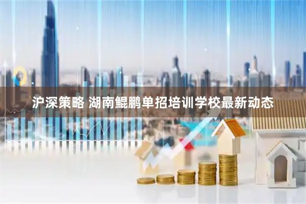 沪深策略 湖南鲲鹏单招培训学校最新动态